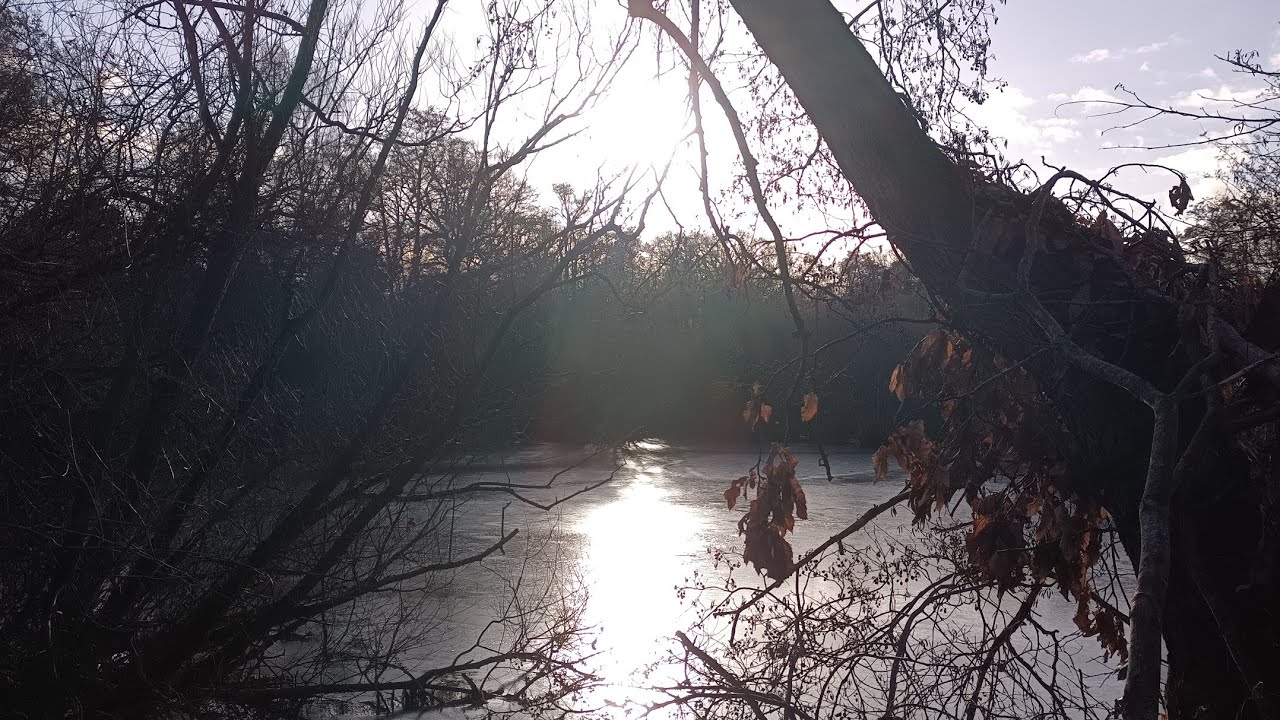 Song about Nature (original music)