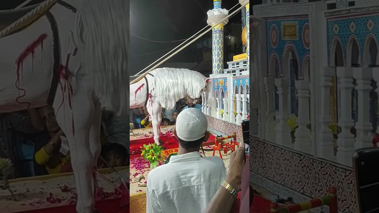 Ali Fatima ki nigahon ka Tara Muharram tajiya