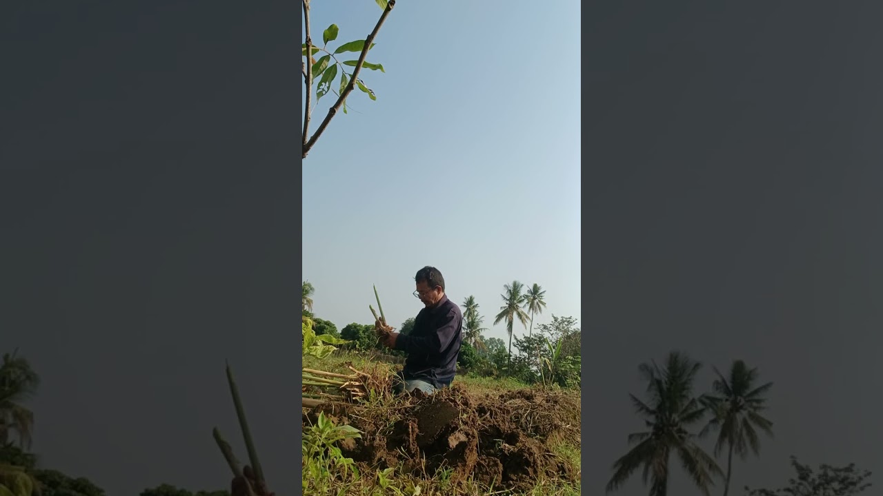 Outdoor work