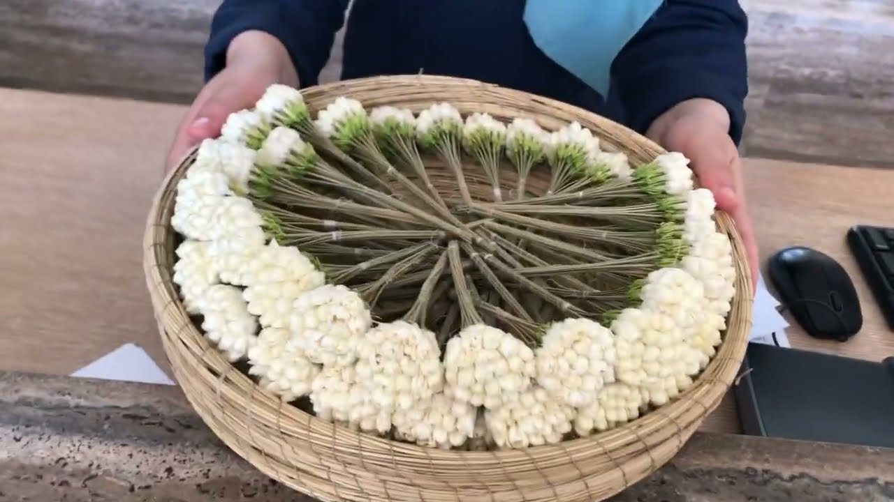 عطلة صيفية في نزل kuriat palace monastirr| جولة في النزل و أكثر #summervlogs