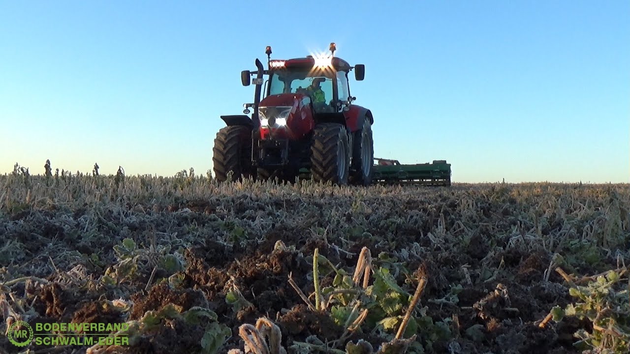 Zwischenfrucht walzen || KERNER X-Cut solo 600 || McCormick X7