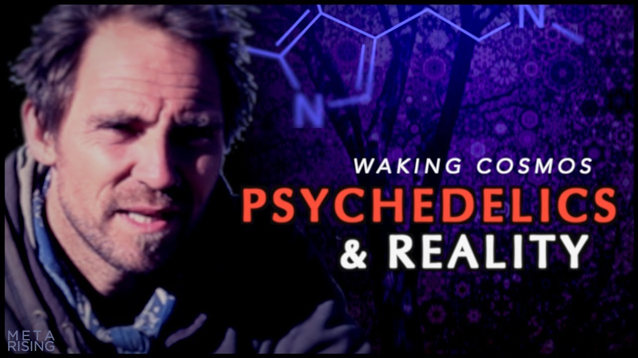 Can Psychedelics Reveal the Nature of Reality? | David Luke | Waking Cosmos