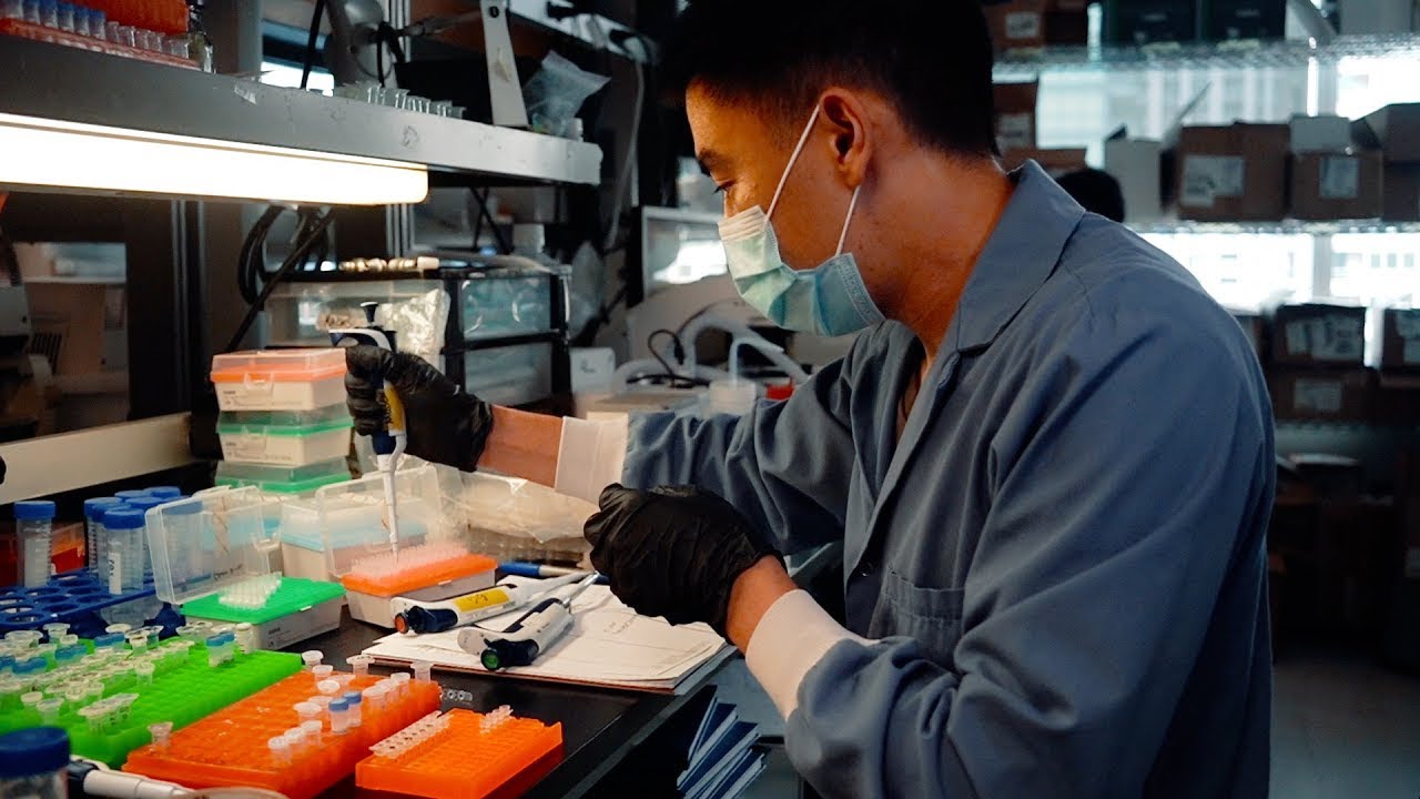 Outsmarting Cancer: Two Studies Explore New Drug Combinations to Fight Leukemia