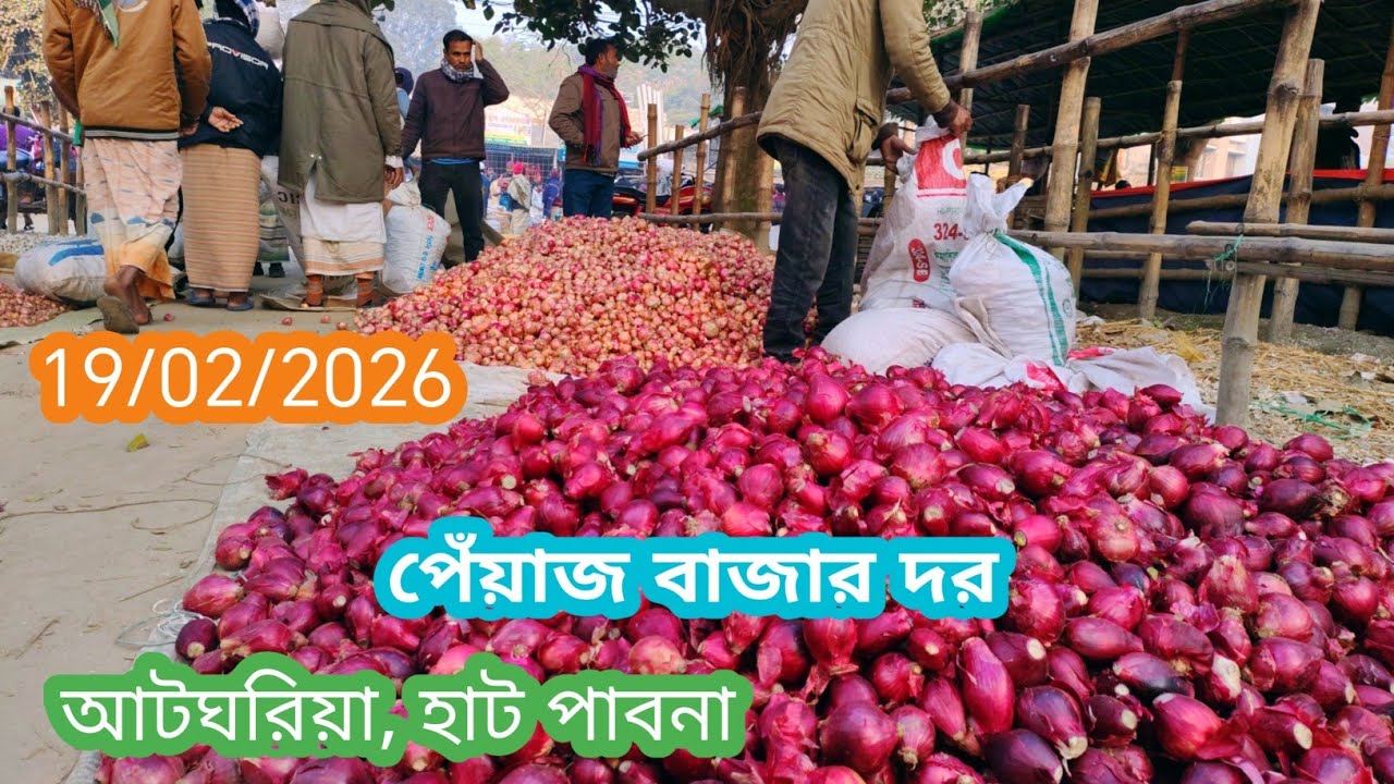 19 February 2026পেঁয়াজ বাজার। আজকের পেঁয়াজ বাজার দর। Onion market price rate today 