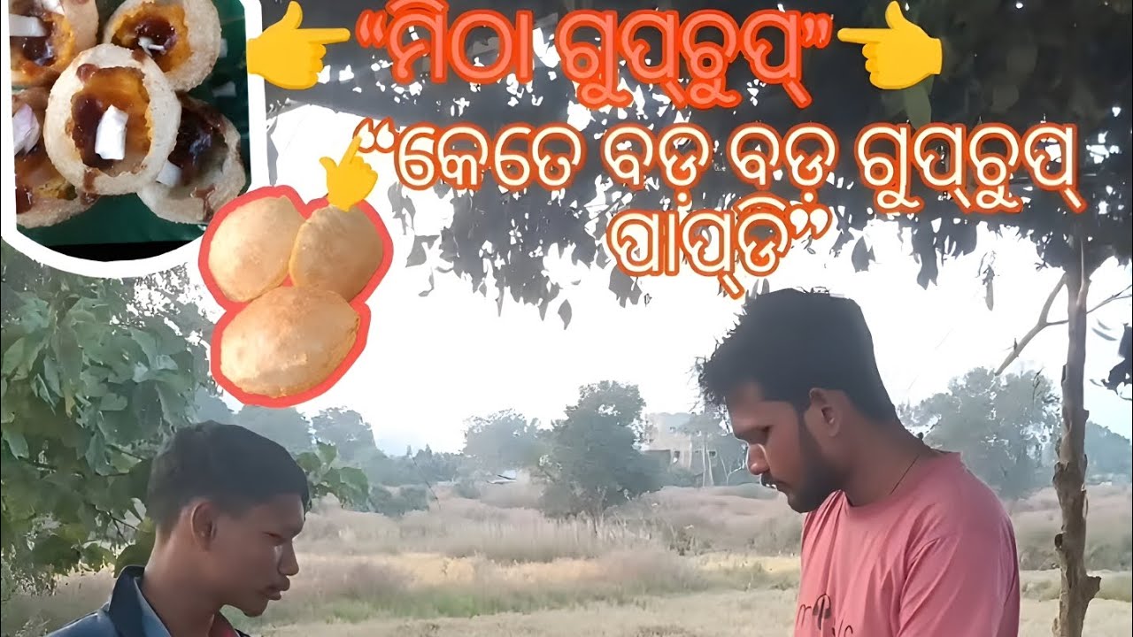 “ମିଠା ଗୁପ୍‌ଚୁପ୍‌”😋#minivlog #vlog #panipuri  #gupchup#shorts