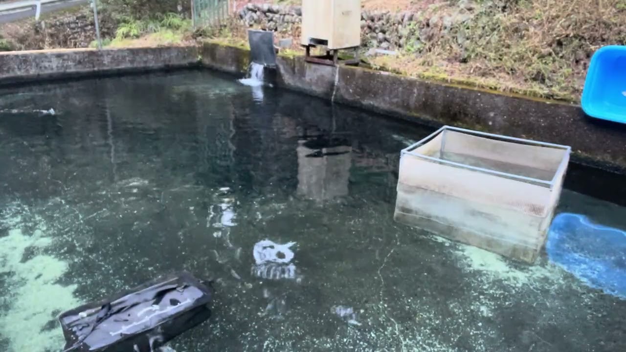 20251228飼育管理