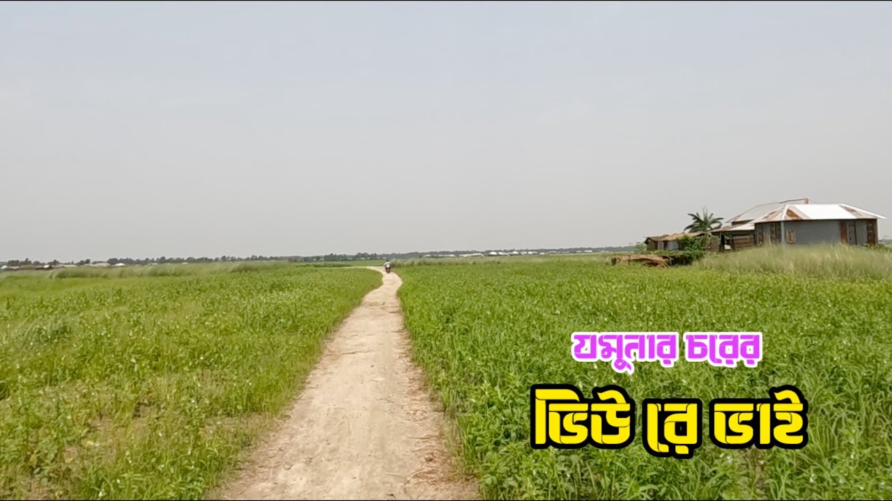 মানিকগঞ্জের দৌলতপুর উপজেলার যমুনার চরের ভিউ দেখলে আপনিও মুগ্ধ হয়ে যাবেন || দৌলতপুর মানিকগঞ্জ 