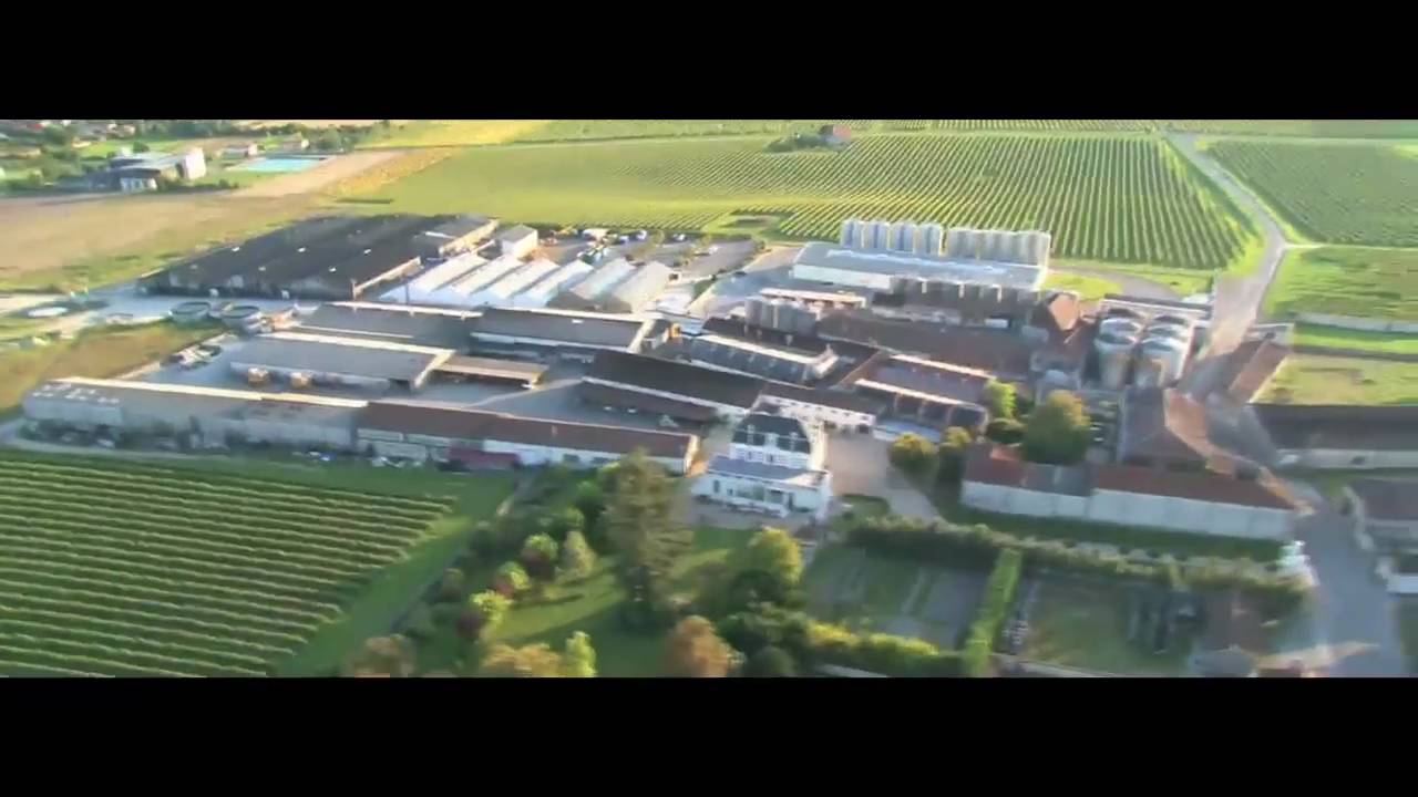 Cognac De Luze -1822- Domaine Boinaud