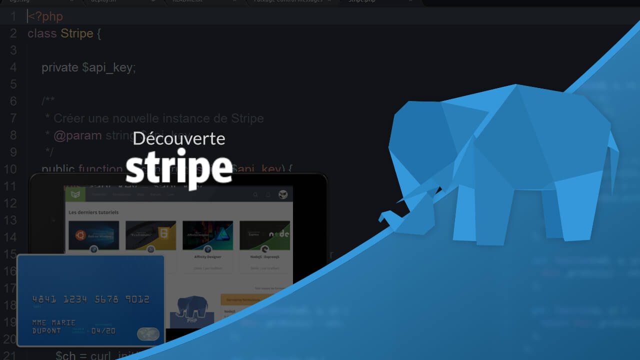 Tutoriel PHP/Stripe : Module de paiement Stripe