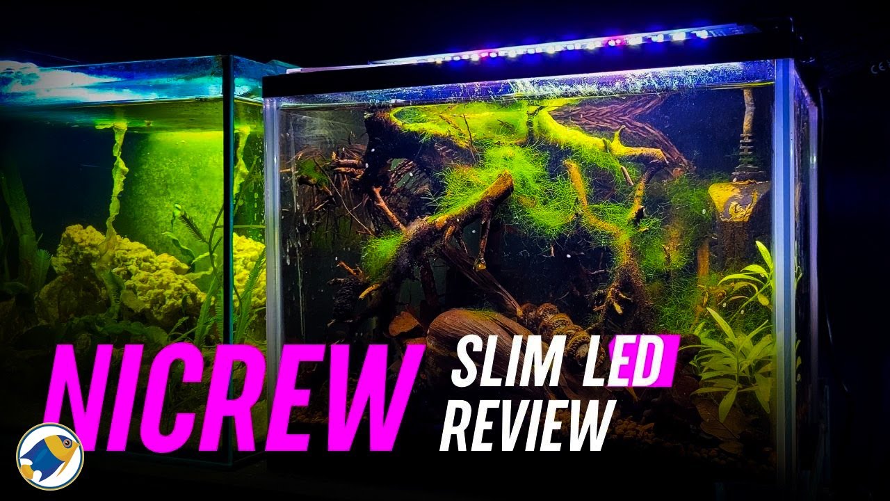 Nicrew SlimLED Light Review | Nicrew Nano Aquarium LED Light