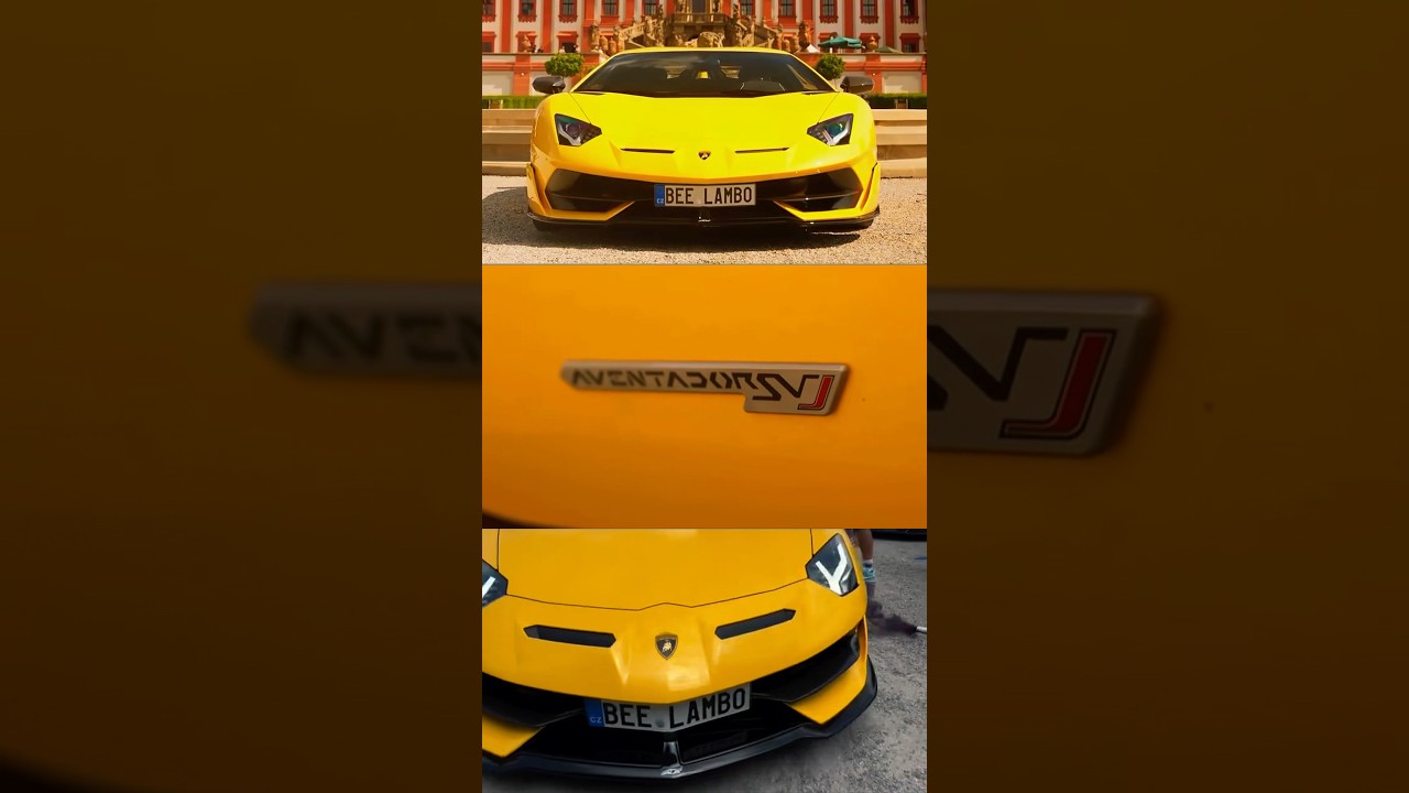 BEE SVJ Making Some Noise 😎