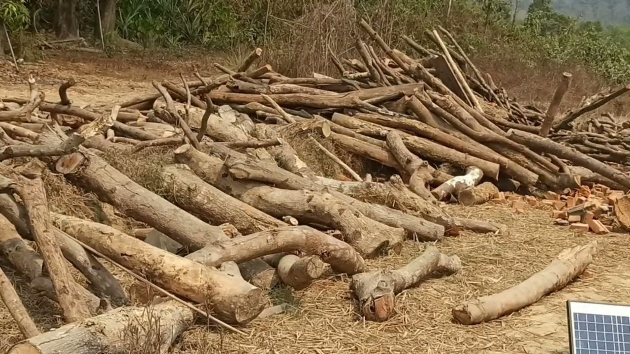 ရခိုင်ပြည်နယ်၊ ကျိန္တလီမြို့နယ်ခွဲဒေသက စက်နဲ့ပြုလုပ်တဲ့ အုပ်လုပ်ငန်း