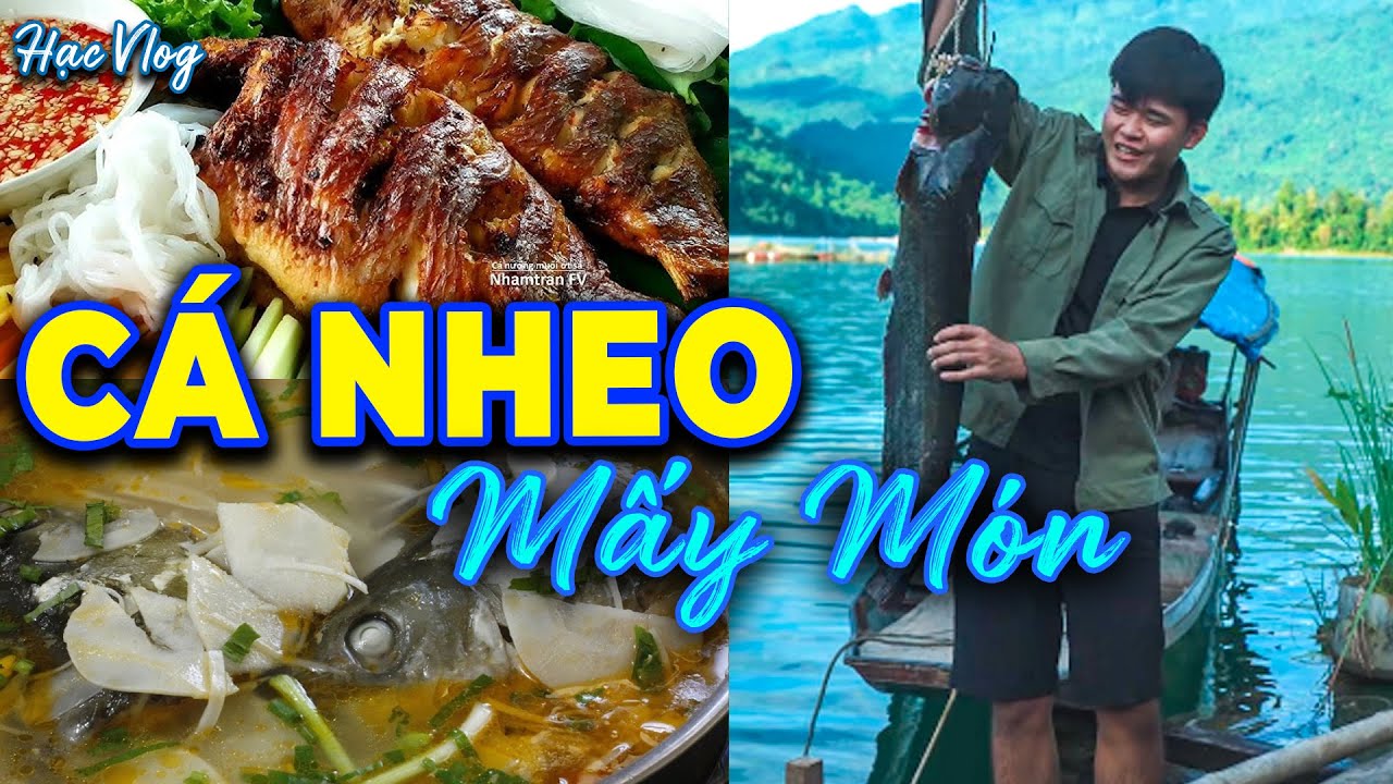 Bắt Con Nheo To Nhất Đ&atilde;i Kh&aacute;ch: Vừa Nướng Vừa Nấu Canh Chua - Hạc Vlog