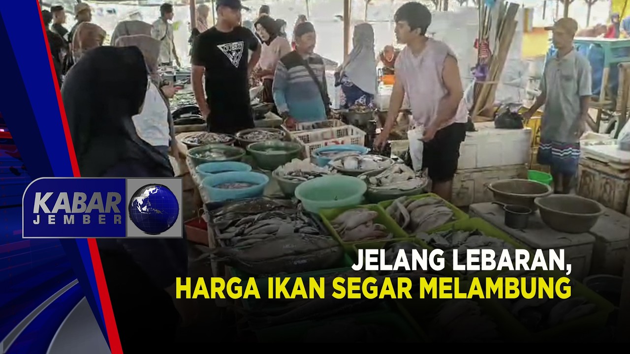 Jelang Lebaran, Harga Ikan Segar Melambung | Kabar Jember