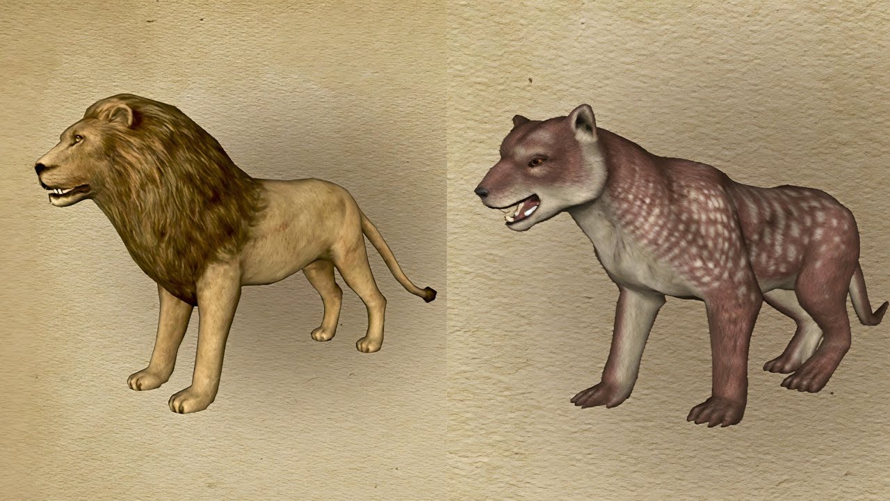 The Wolf - Lion Vs Marsupial Lion 🏆 | Which is Harder To Defeat? 