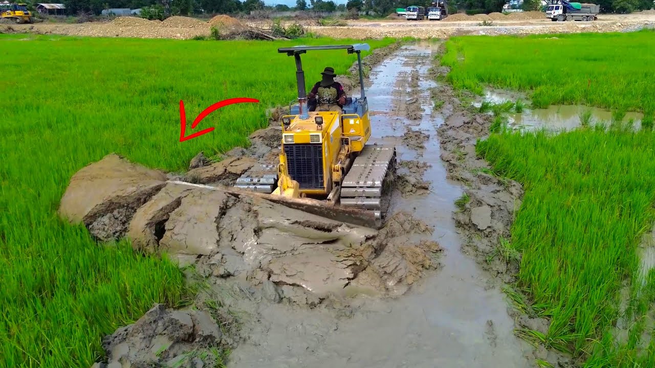 Bulldozer Smoothly Clear Out Muddy Layer - KOMATSU & SHANTUI