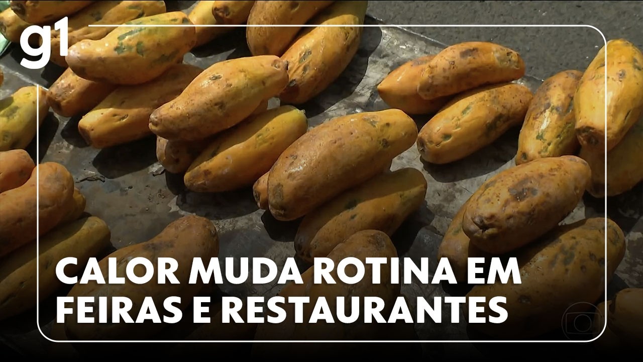 JH: Para evitar perdas e intoxicações, comerciantes reforçam cuidados com alimentos no calor