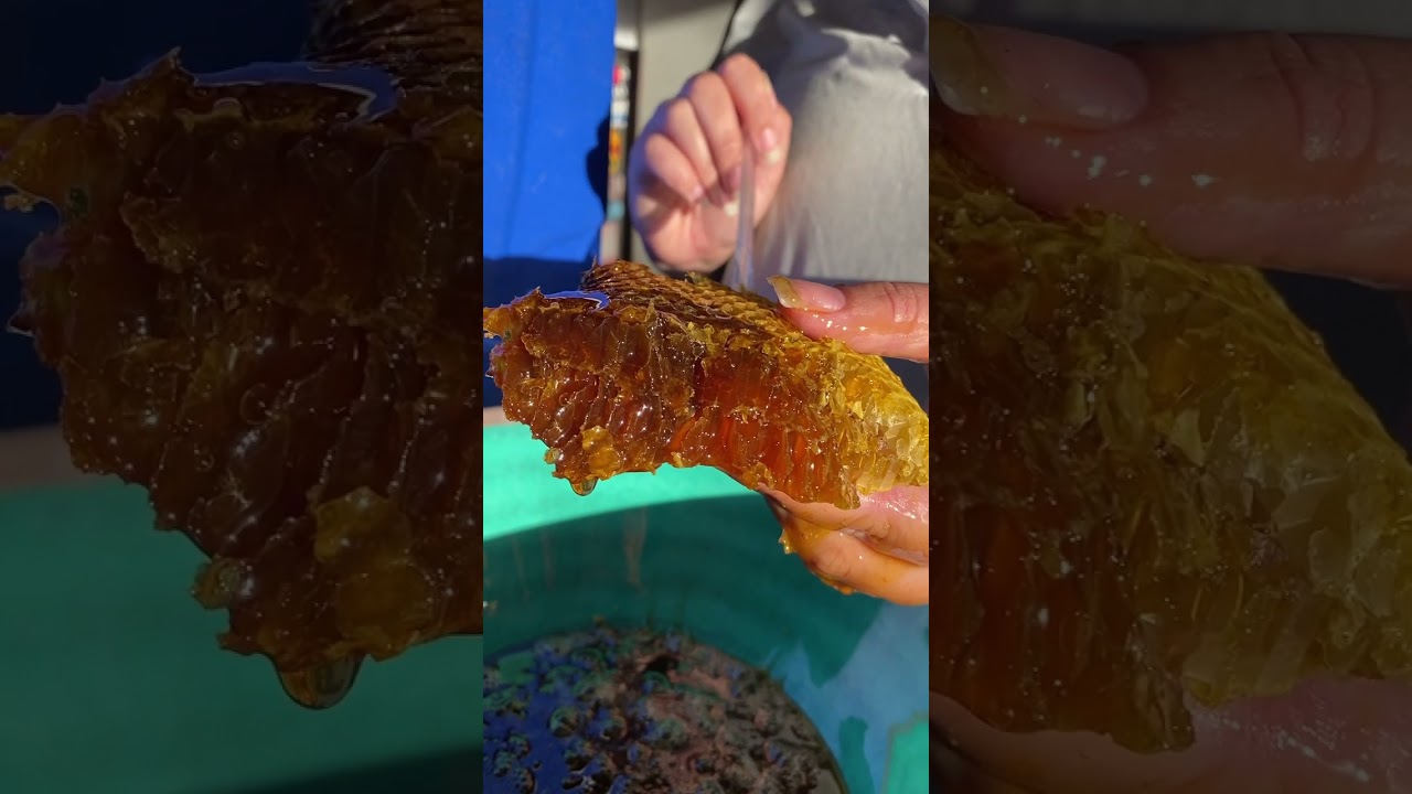Honey comb #honey #gardening #californiagarden #garden #californialandscape