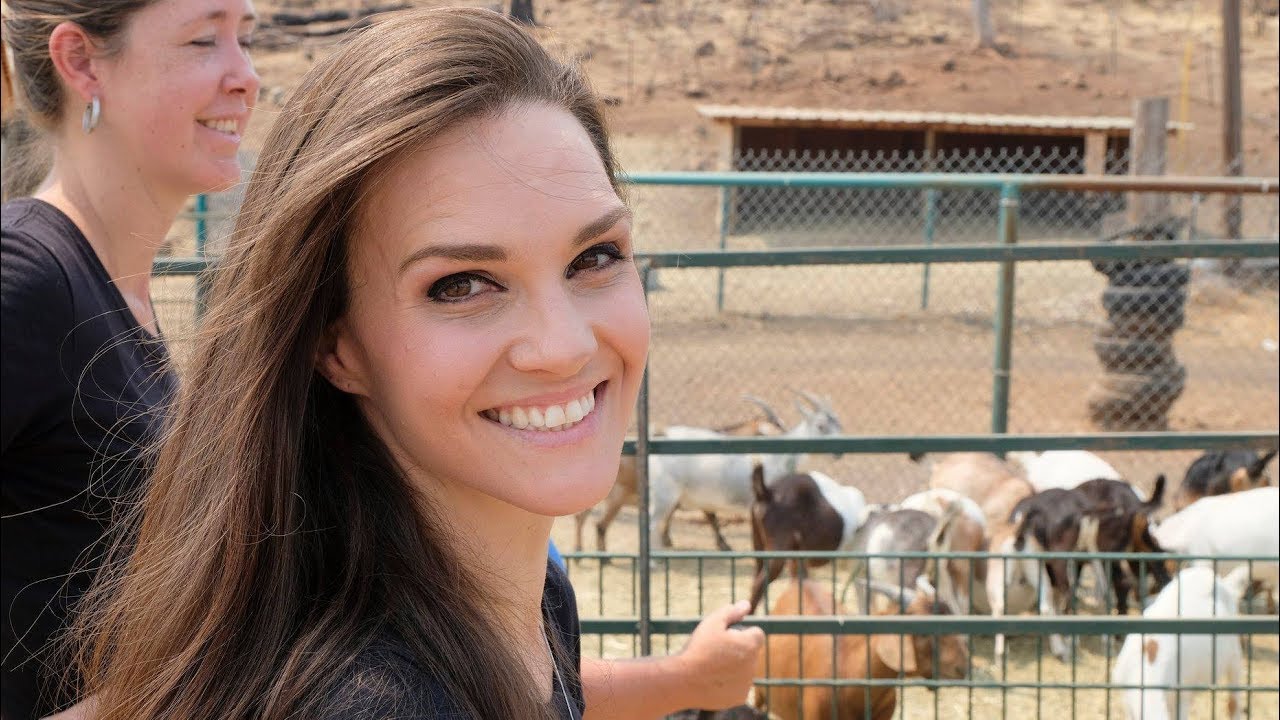 Animals rescued from California wildfires by motorcycle-riding CoverGirl
