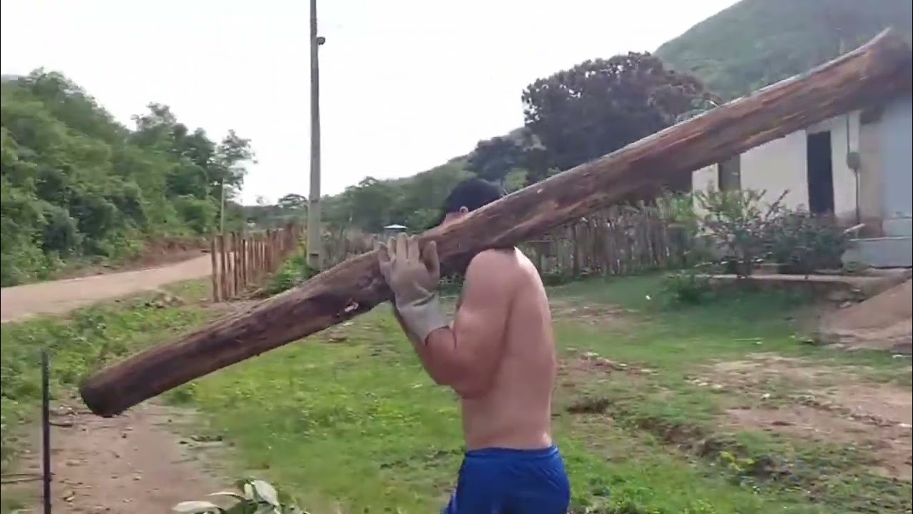 Eu não dou moleza / mas  quase não aguento #videoshort #vidanaroça #sitio #fazenda #deus 