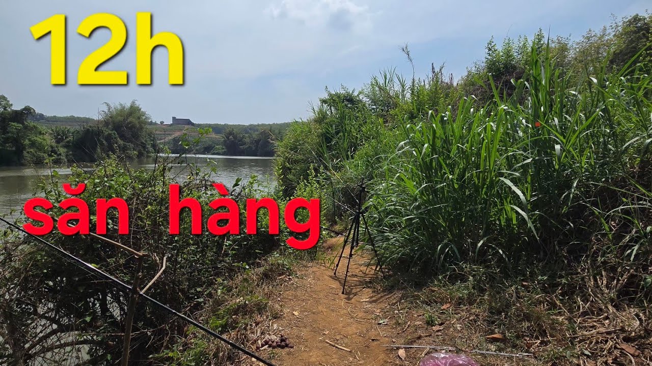 Câu  cá sông  Bé ngày  cận  tết  2026, cùng  a ,em.