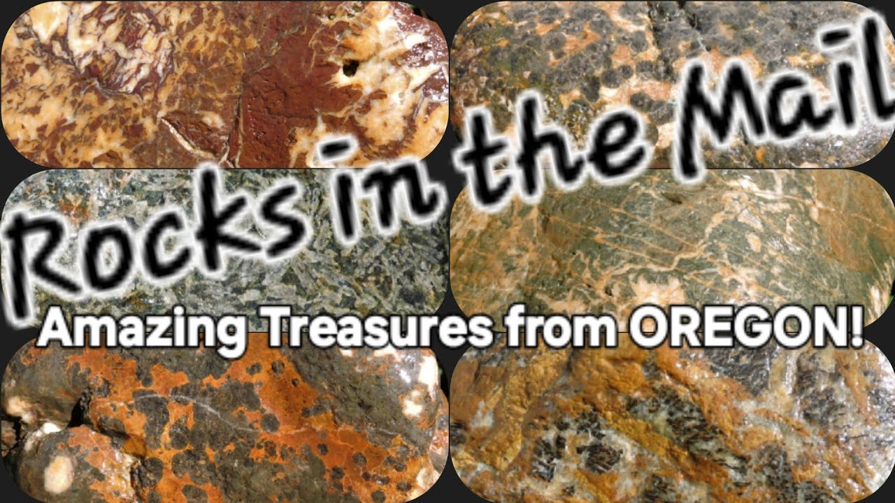 Oregon Rockhounding on Ebay: Orbicular Rhyolites, Bullseye Agate, Jasper, Pyroxene Mystery Stones