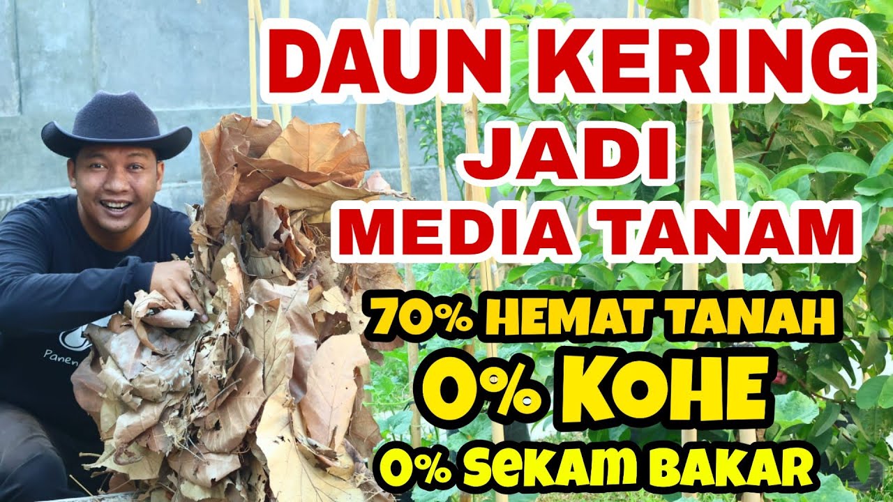 KOPI + DAUN KERING jadi MEDIA TANAM !!!