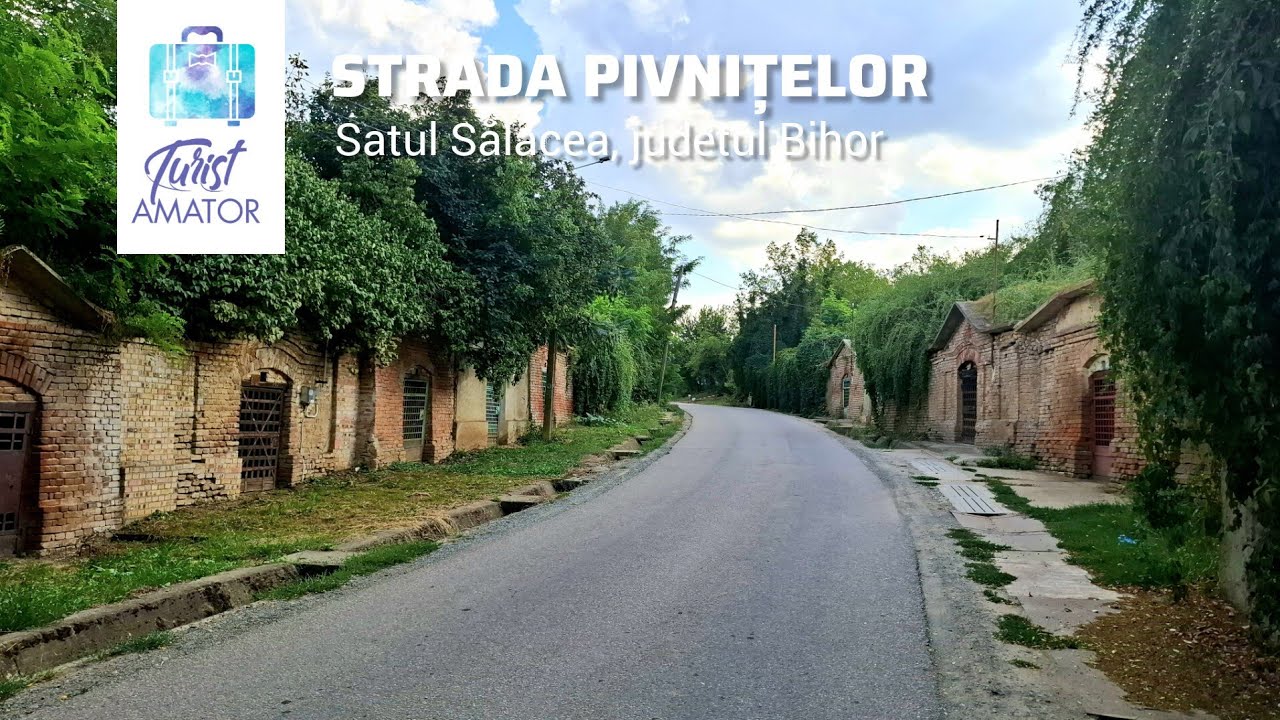 Sălacea - Satul celor 1000 de pivnițe