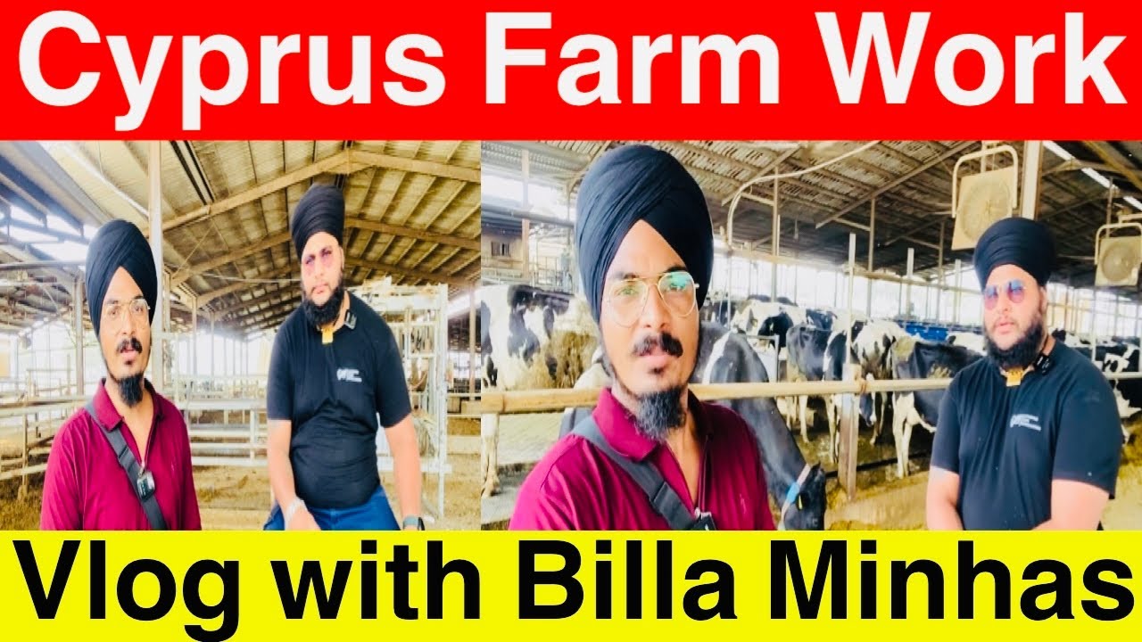 Cyprus Farm Work || Billa Minhas || Jagjeet Singh Saidoke || #punjabi #minivlog #vlog 