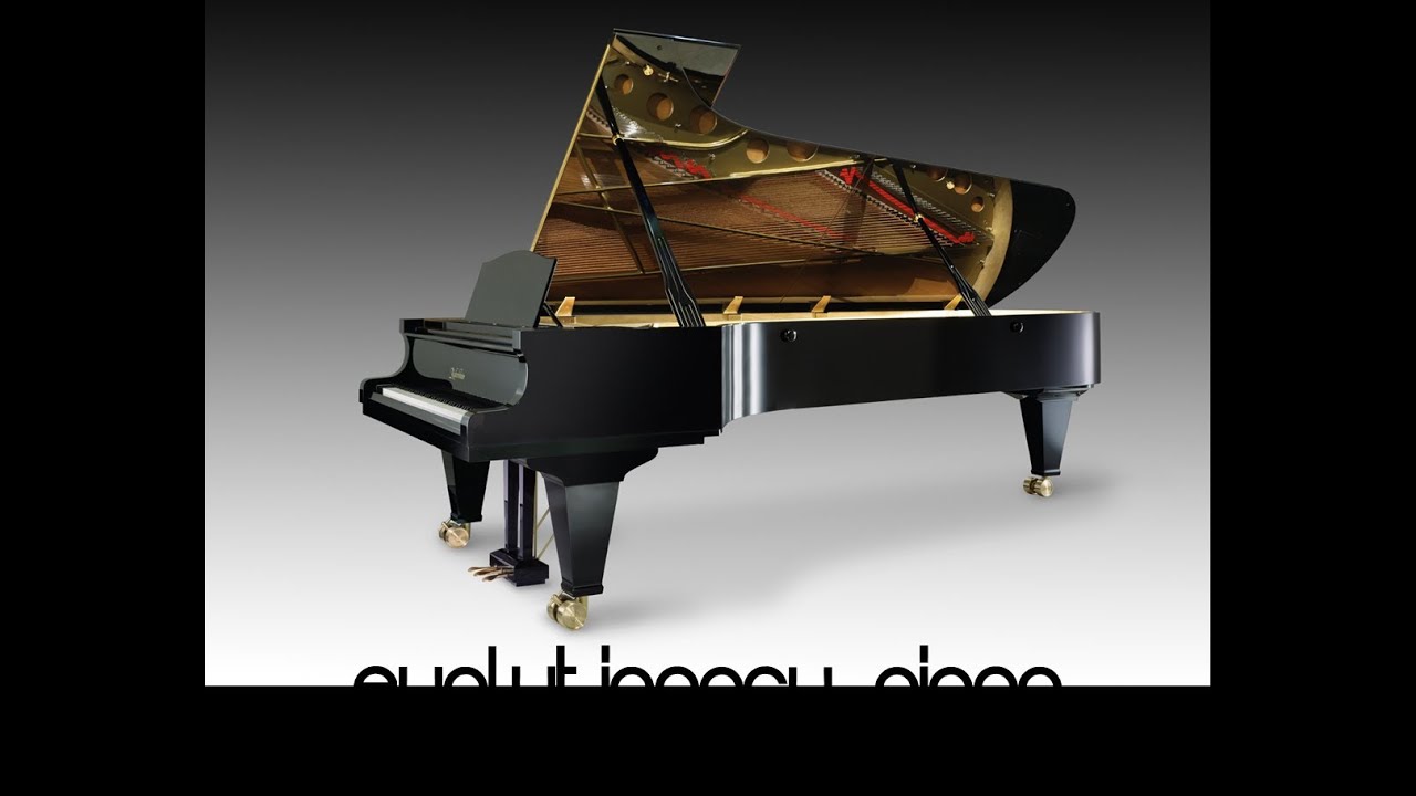 EVOLUTIONARY PIANO INDIEGOGO CROWDFUNDED PROJECT