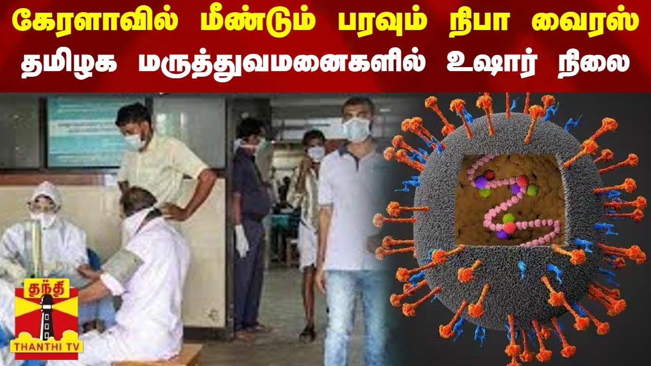 கேரளாவில் மீண்டும் பரவும் நிபா வைரஸ்... தமிழக மருத்துவமனைகளில் உஷார் நிலை | Nipah virus | Tamil Nadu