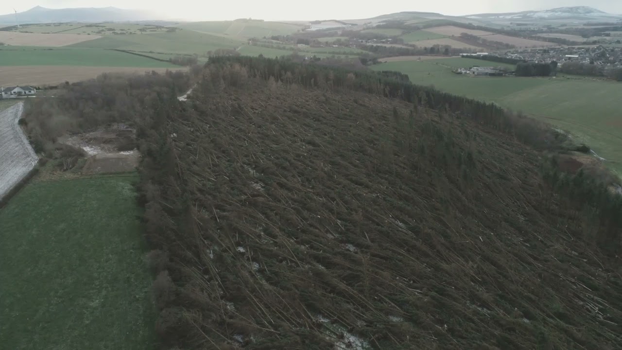 Destruction of Cranna Wood by Storm Arwen