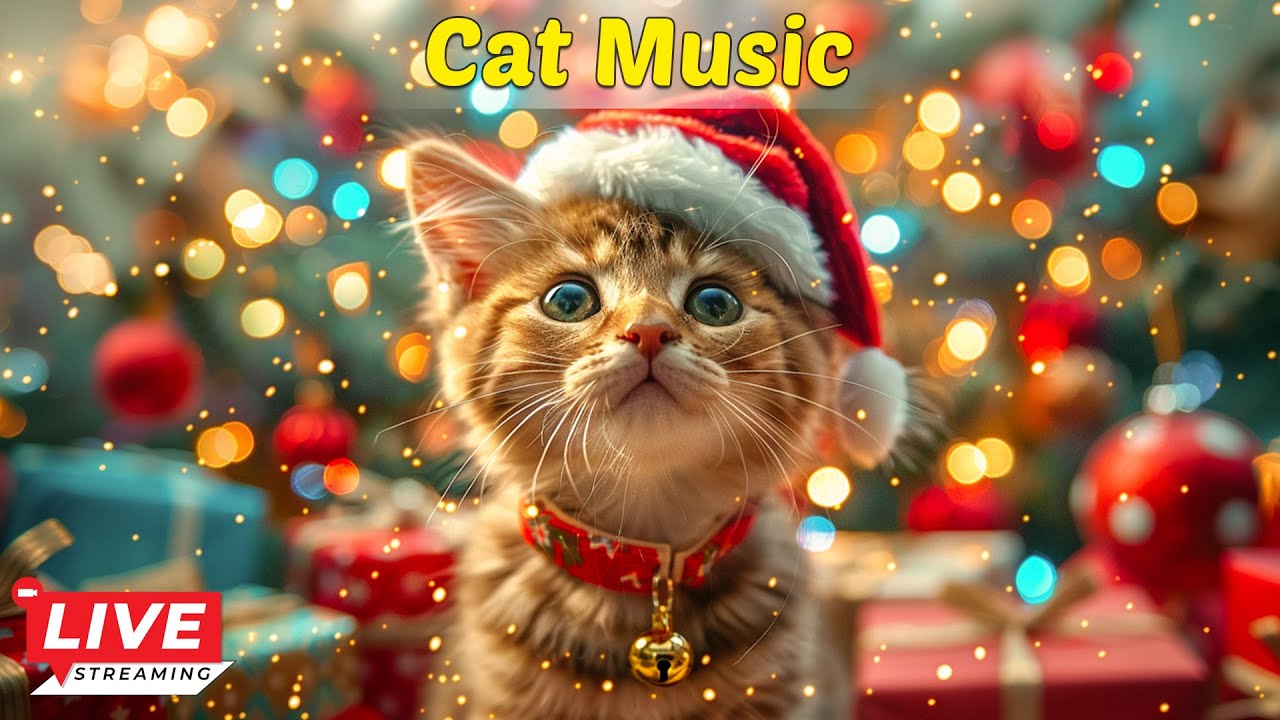 Ultimate Christmas Cat Piano Music Collection 🎄 Cat Stress Relief Music, Calming Music for Cat