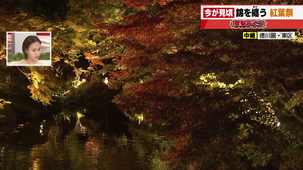 【徳川園】今が見頃 錦を纏う紅葉祭│ 突撃ライブ【もっと5時スタ】(ライブ配信アーカイブ)