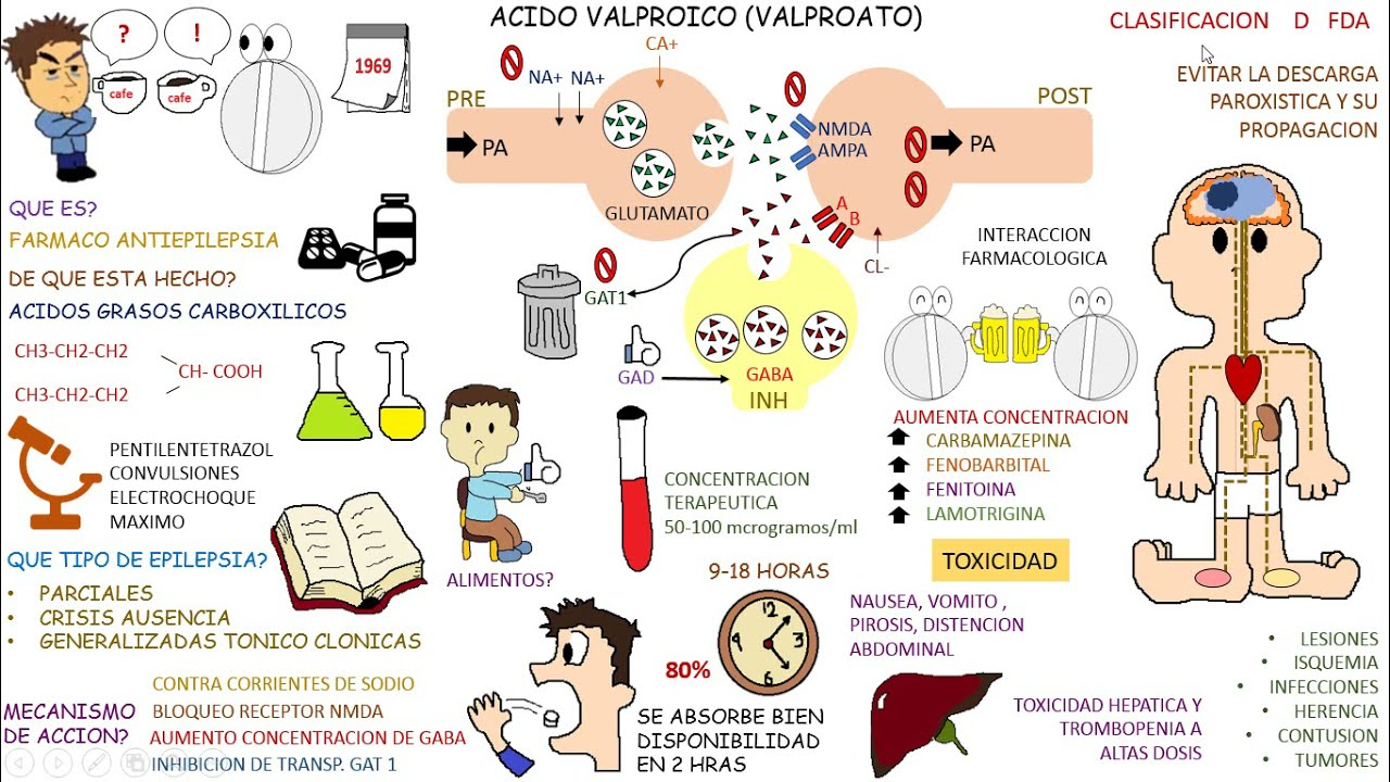 Farmacologia: Antiepilepticos: VALPROATO