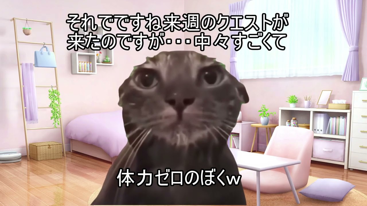 今日の配達の売上は17728円でした！【猫ミーム】