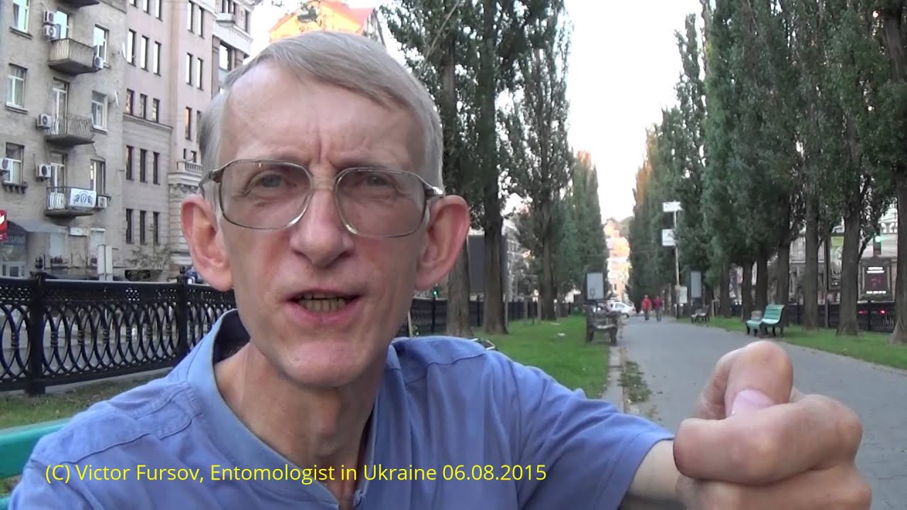 Ешь Кузнечиков и Бери Сталинград? Ответ Анатолию Шарию от Entomologist in Ukraine