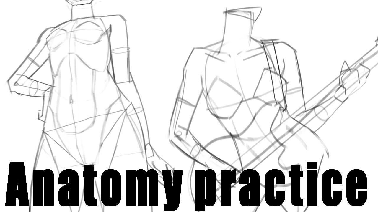 quick anatomy + pose practice