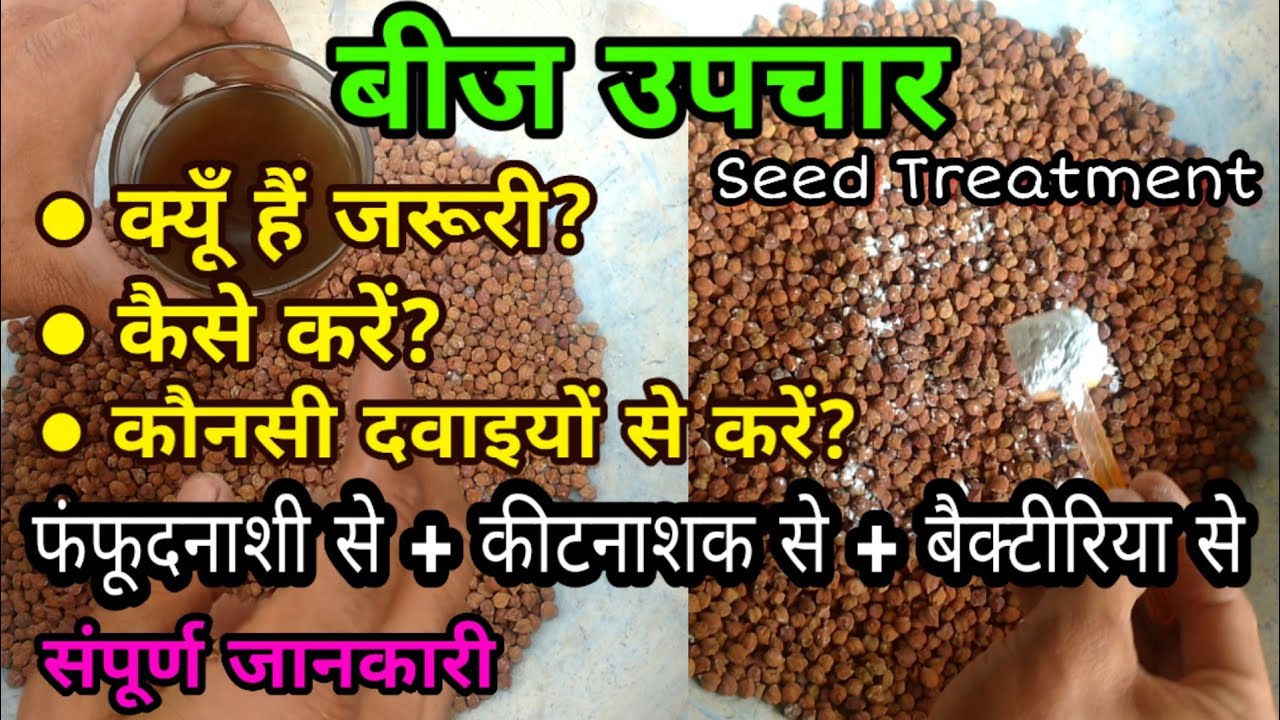 Methods of Seed Treatment | बीज उपचार कि विधियाँ | जैविक तथा रासायनिक तरीका | Seed Treatment