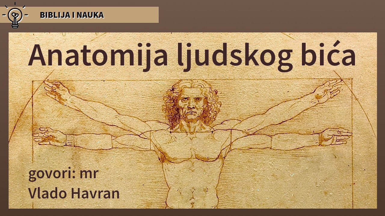 Vlado Havran – Anatomija ljudskog bića