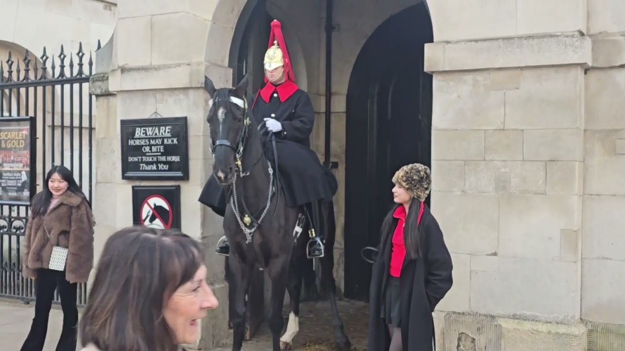 Not a brain cell between the two  of them #kingsguard