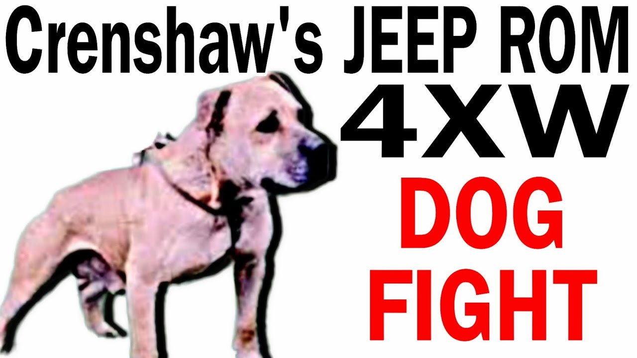 Crenshaw Champion Jeep ROM — четырёхкратный победитель Pitbull Combat — История #pitbull #apbt