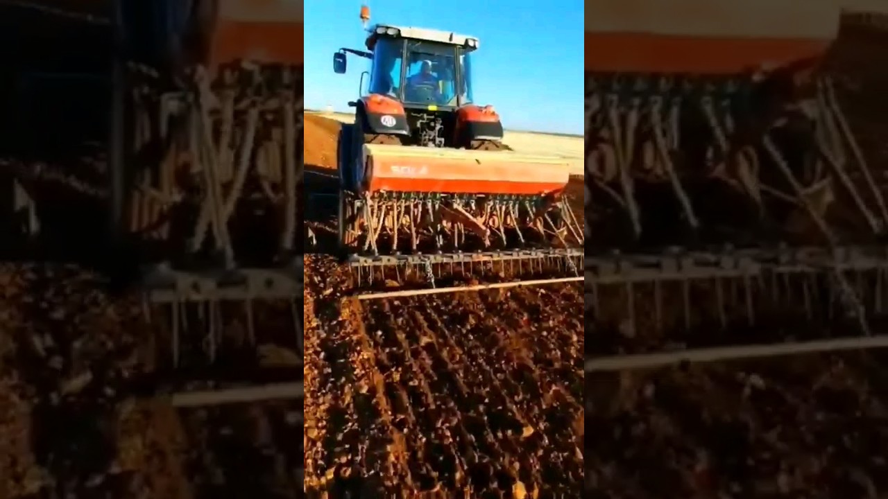 Siembra Tradicional 🌾 2 #campo #agronomia #agricultura #cereal #siembra #agricultor #grain