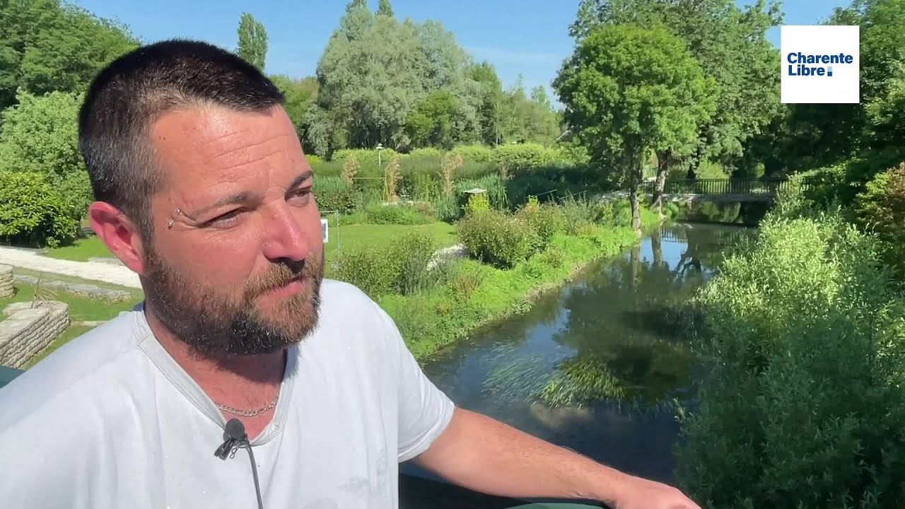Pollution au lisier dans l'Aume : le constat dramatique des pêcheurs