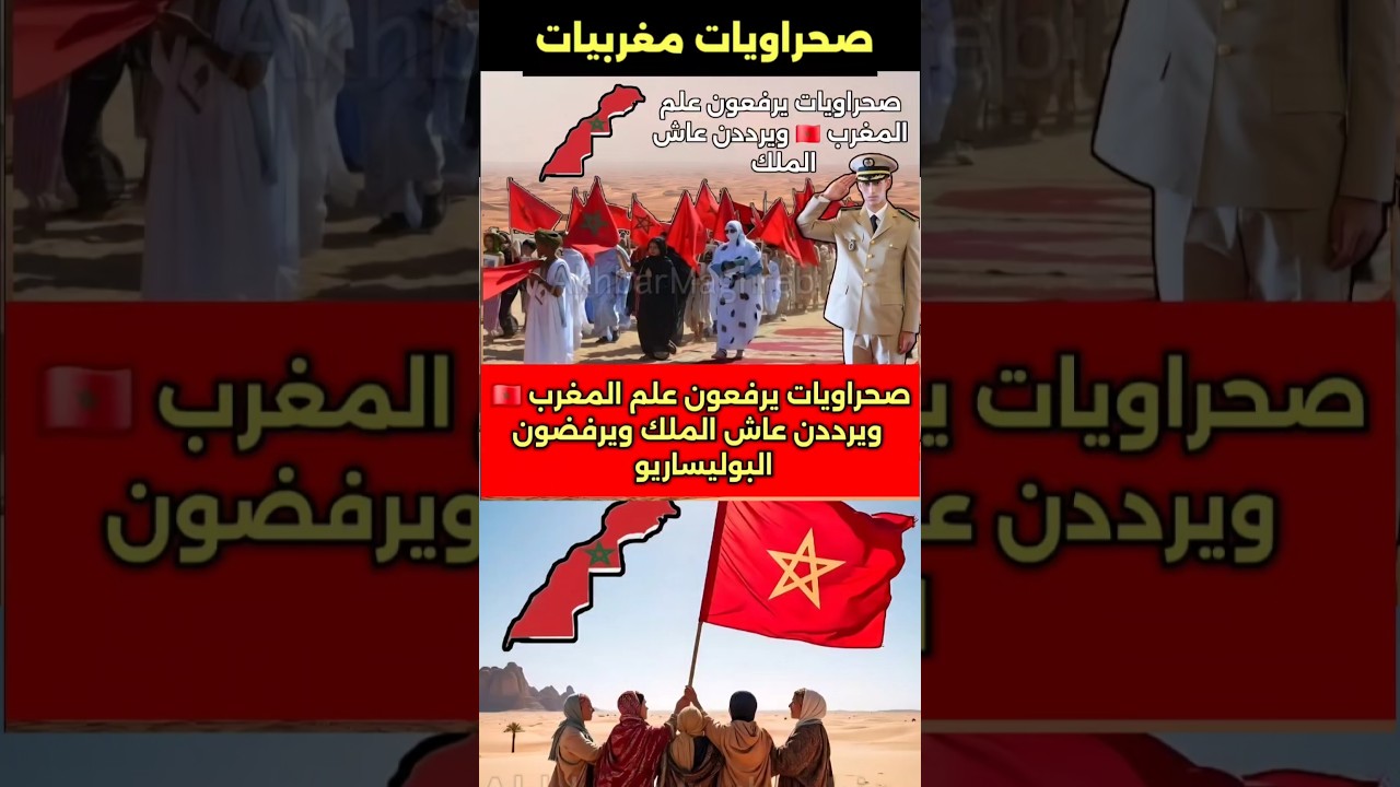 صحراويات مغربيات يرفعن علم المغرب ويرفضن التقسيم 