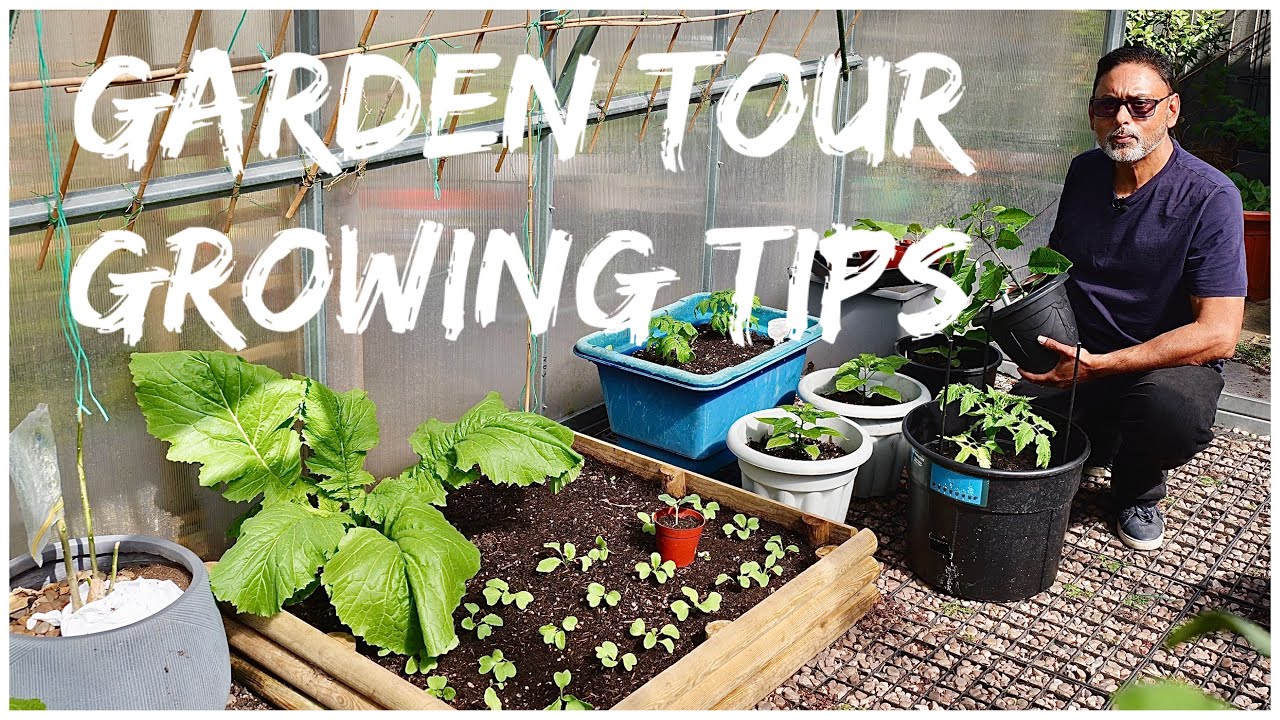 Top Tips For Growing Chillies And Vegetables | Should You Pinch Off Early Pepper Blooms