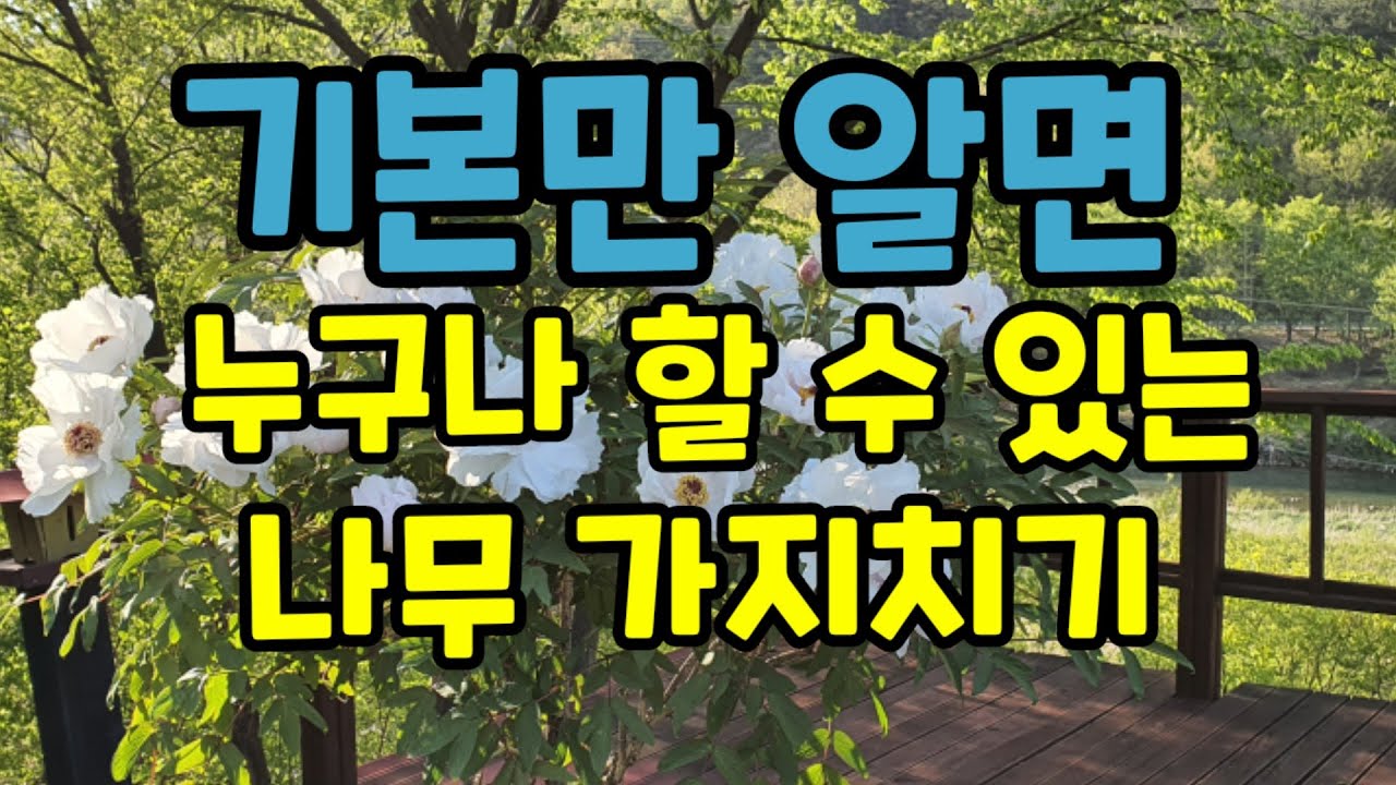 나무가지치기,내손으로 하는 정원나무가지치기 기본편
