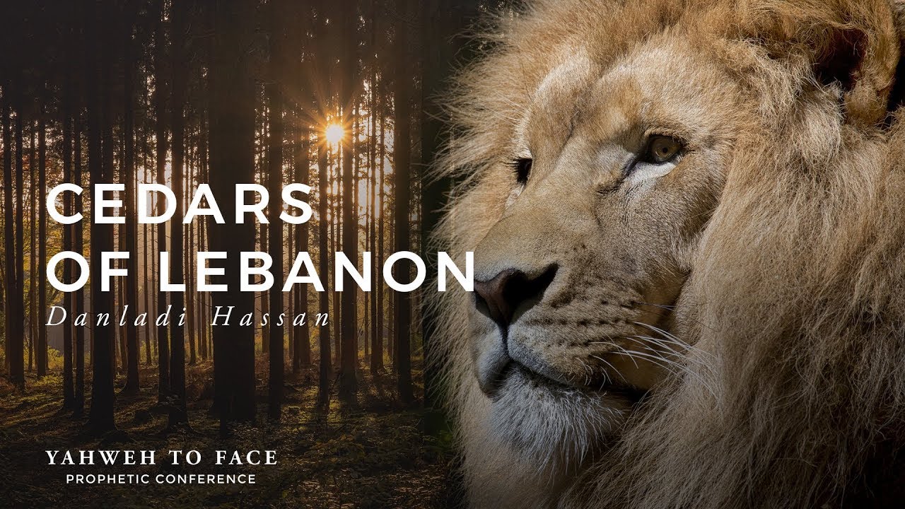 Cedars of Lebanon - Danladi Hassan, YTFPC18 | D3S1
