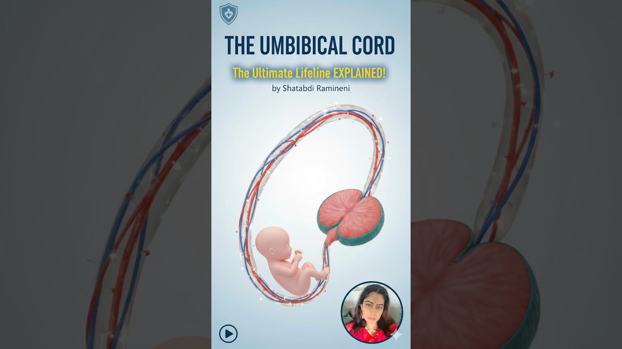 UMBLICAL CORD