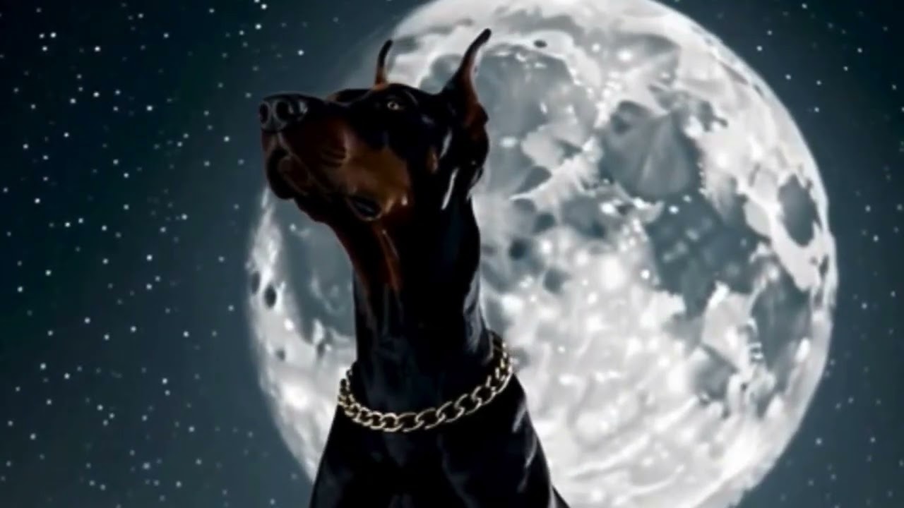 ROGAL DDL  WARKTUTONG BLUES COVER #cover #RogalDDL #WarktutongBlues